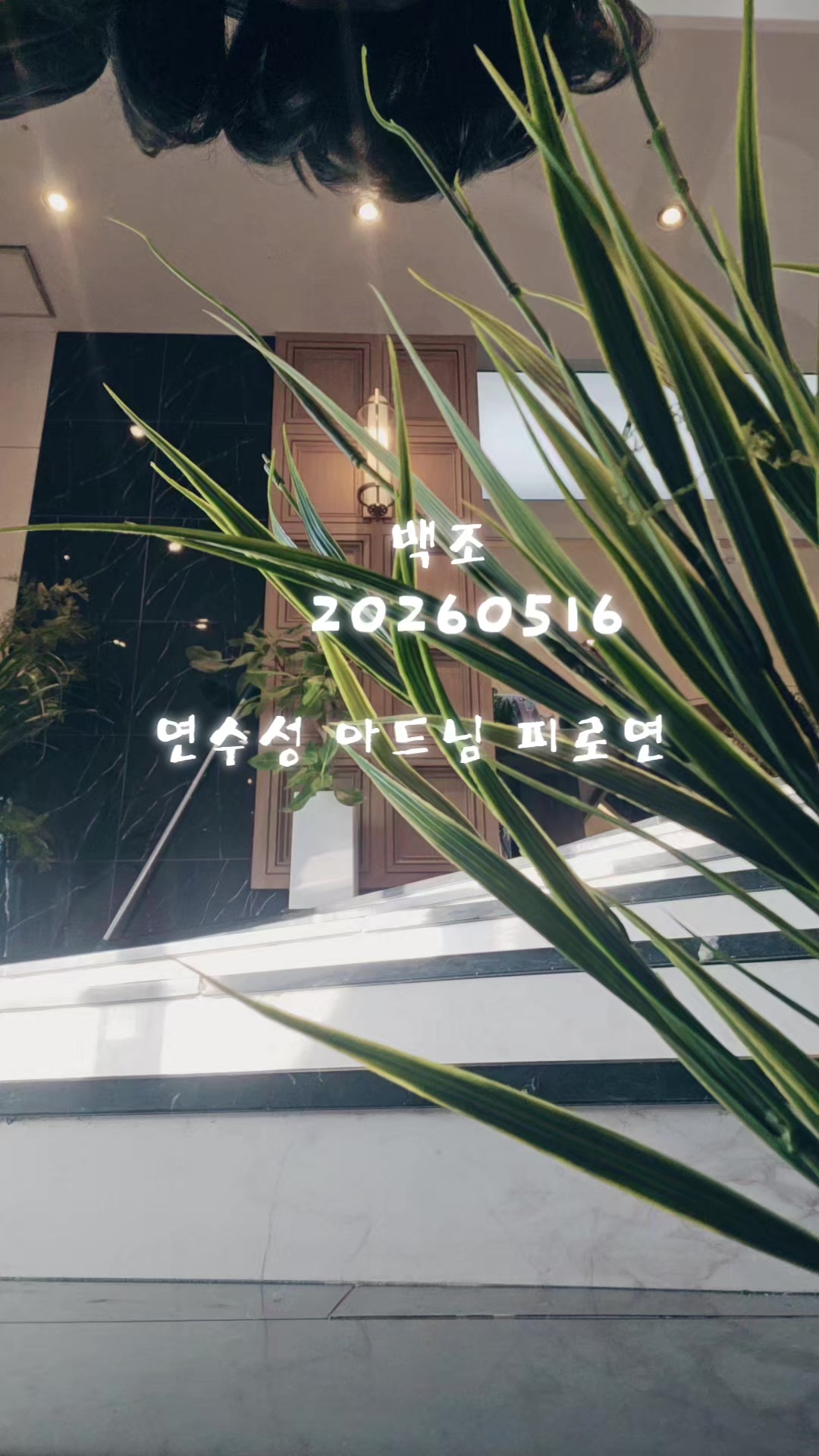 @백조 ~고상하고 우아하게 살자 ❤️ (김교흠)