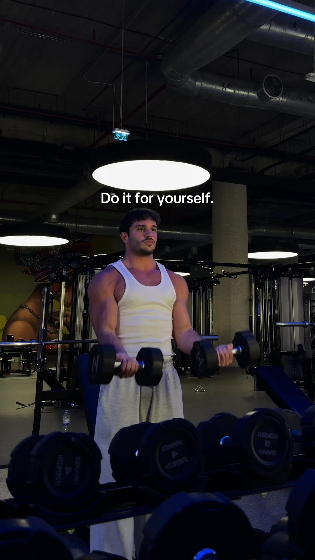 @Bardiafit