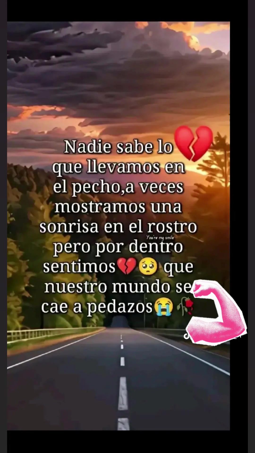 @806ICE