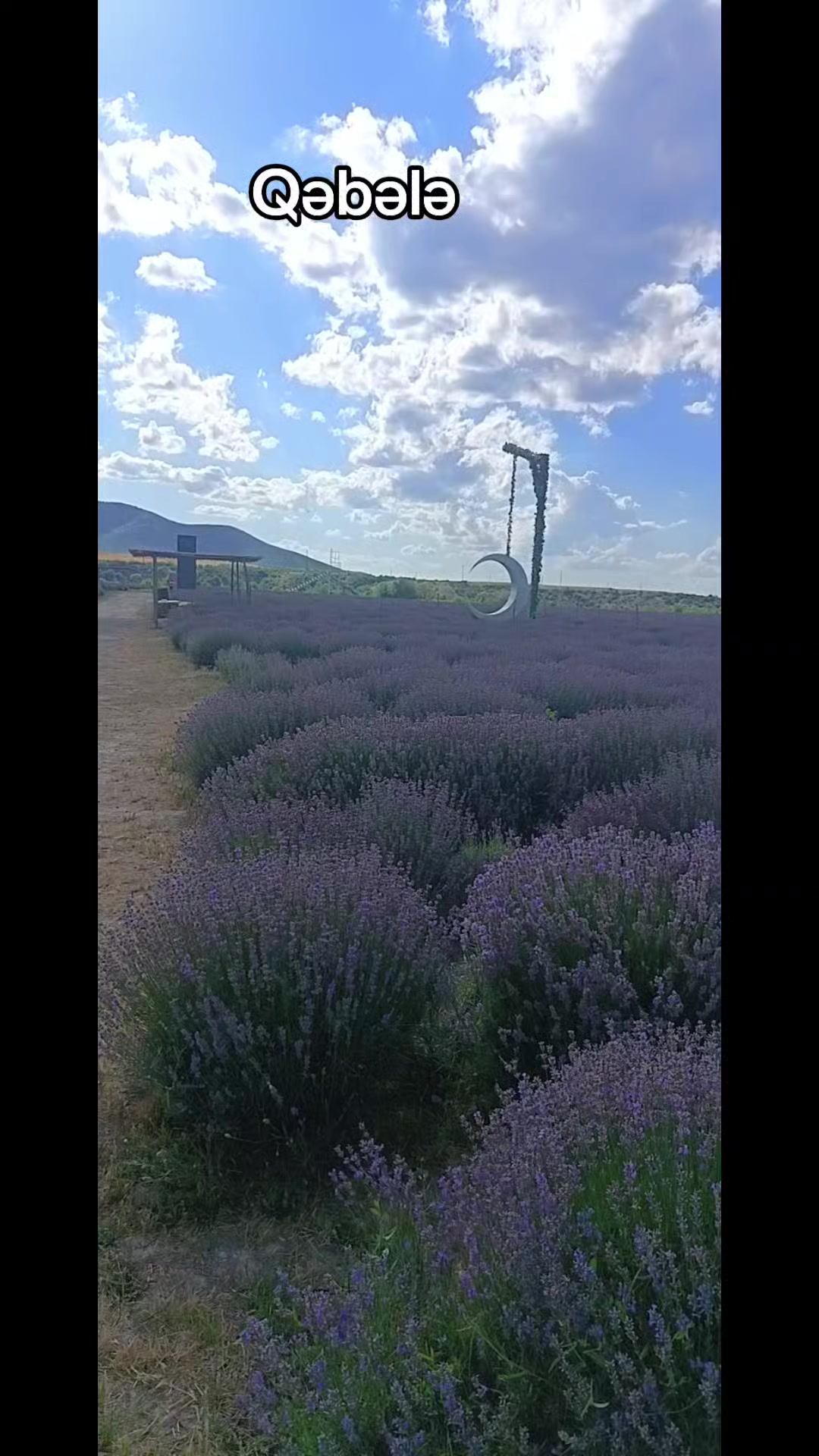 @Qax_Şuşa turu