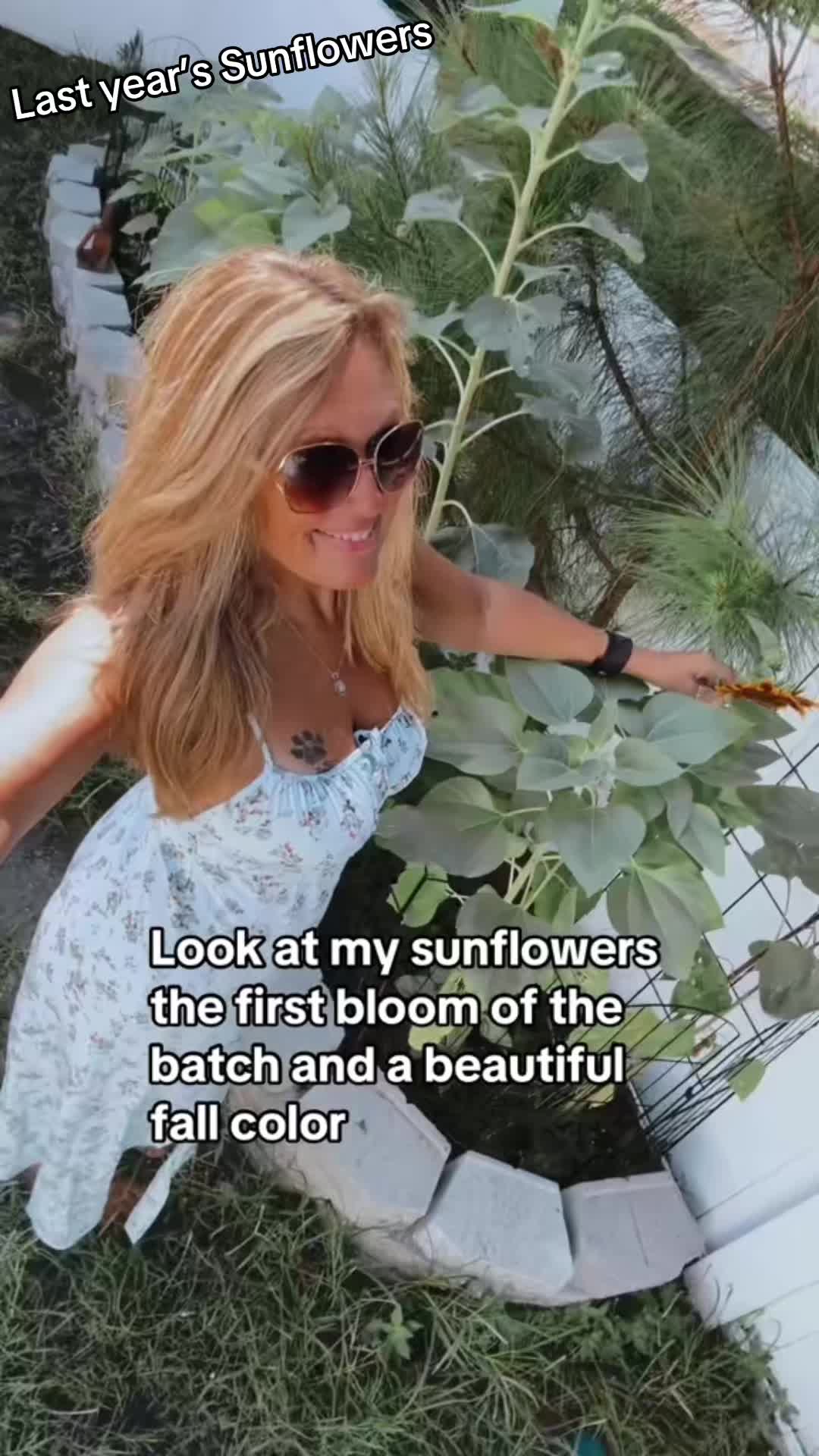 @Rockandhoopqueen👑