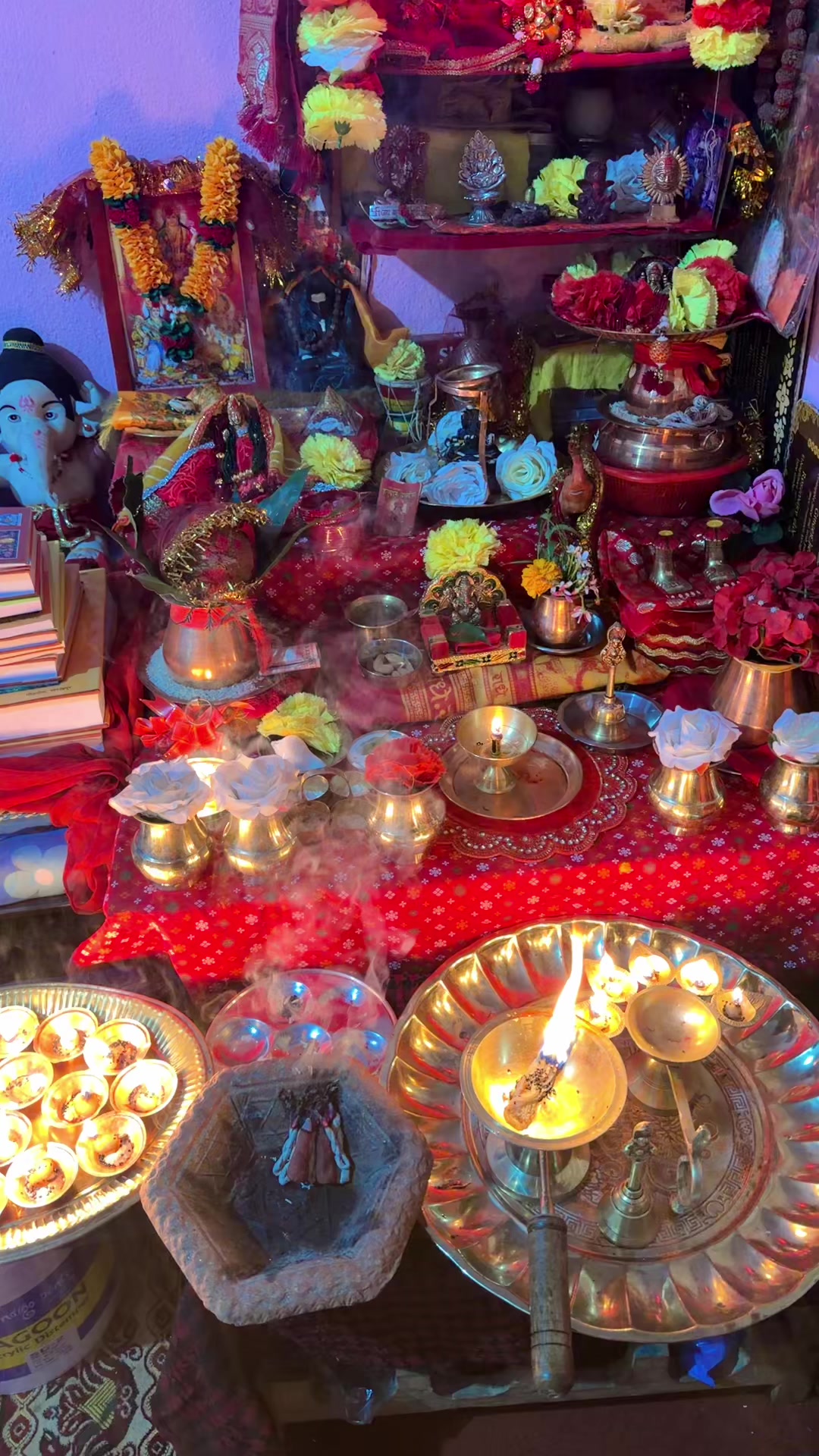 @sitashmathapa71588