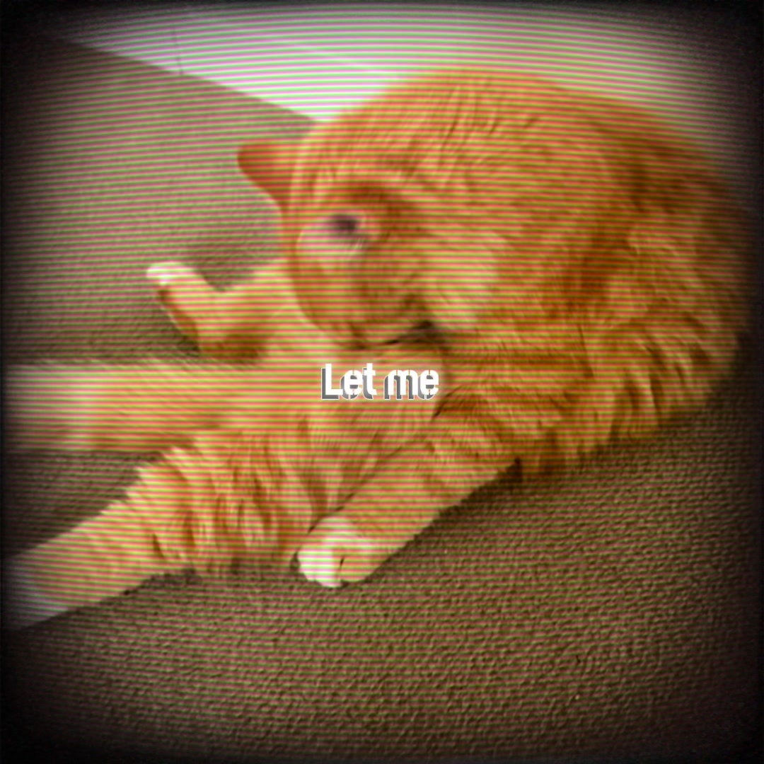 @ThatOneNonBianary