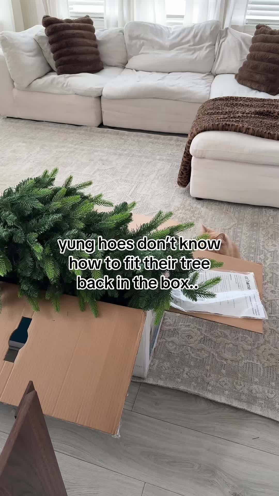 @BROOKLYNN