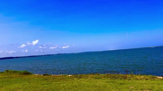@Noel💜🧡🤘🏼⛈️☀️🌊🌺🐾
