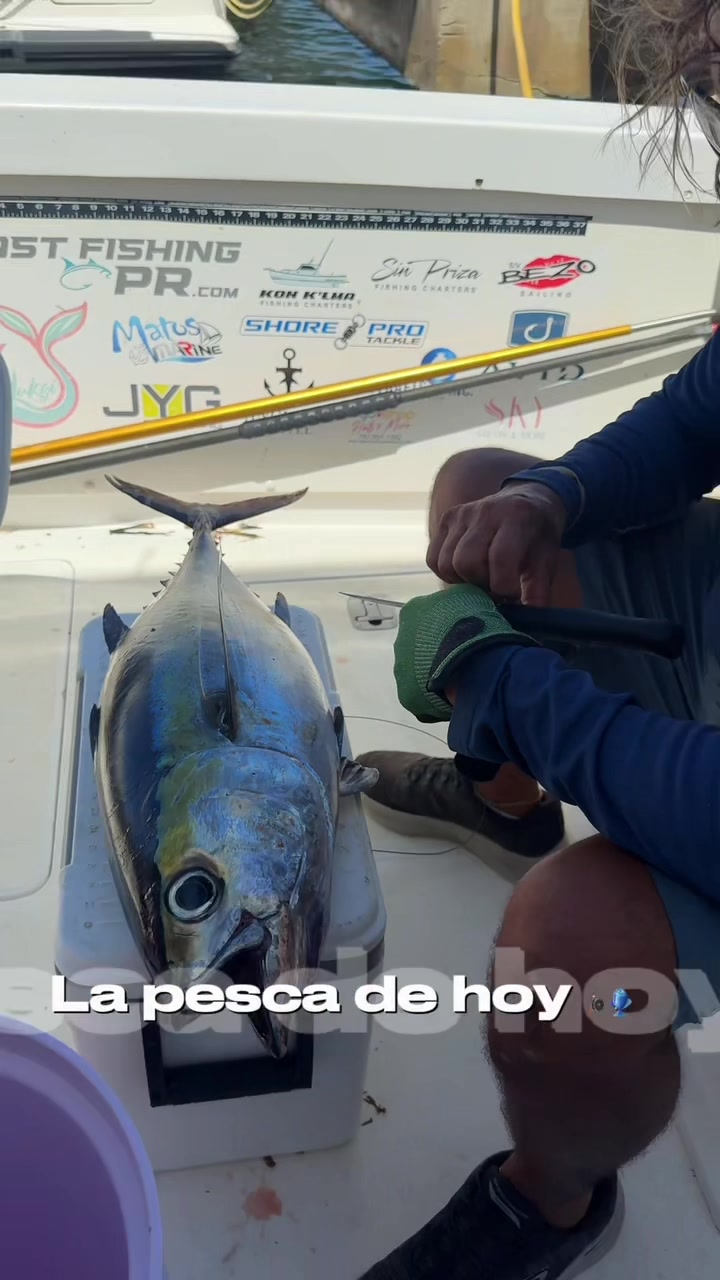 @Yukai 🎣🩵