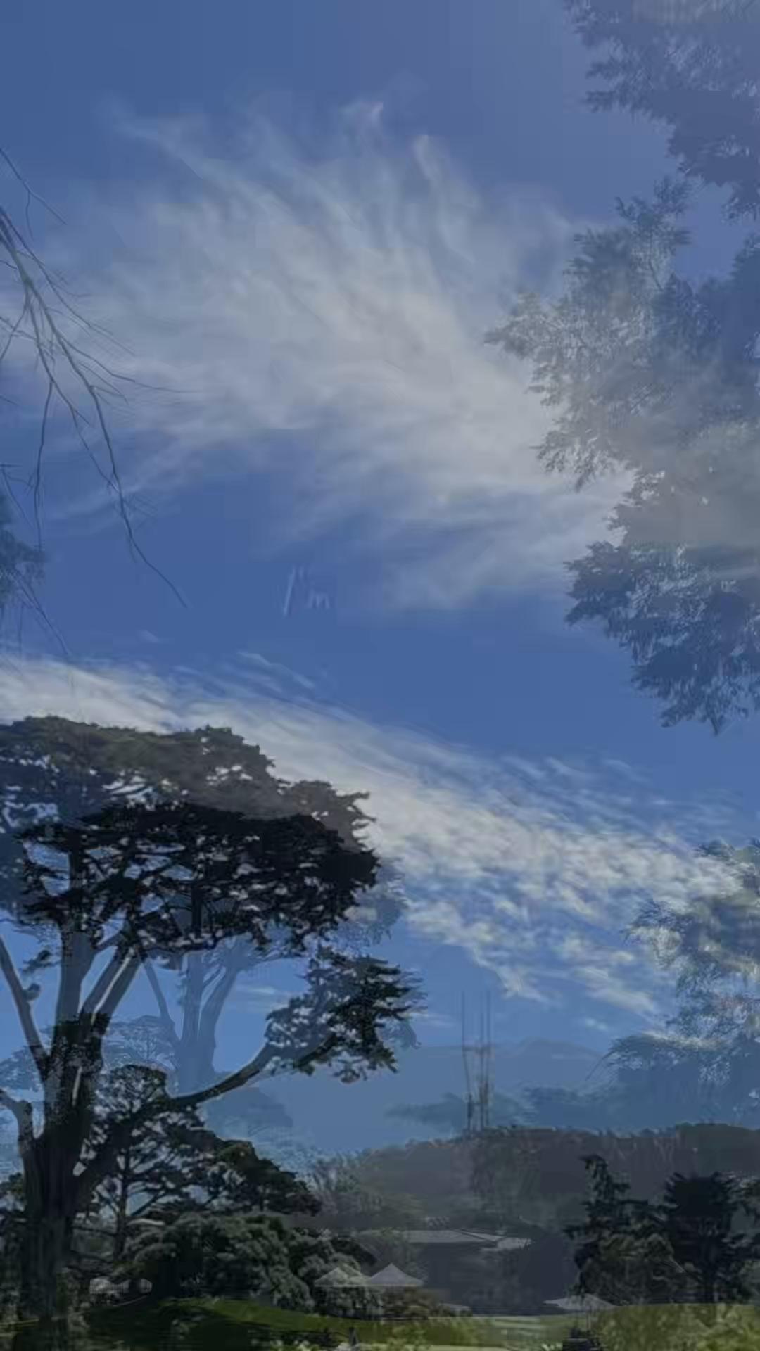 @Lucid Walking