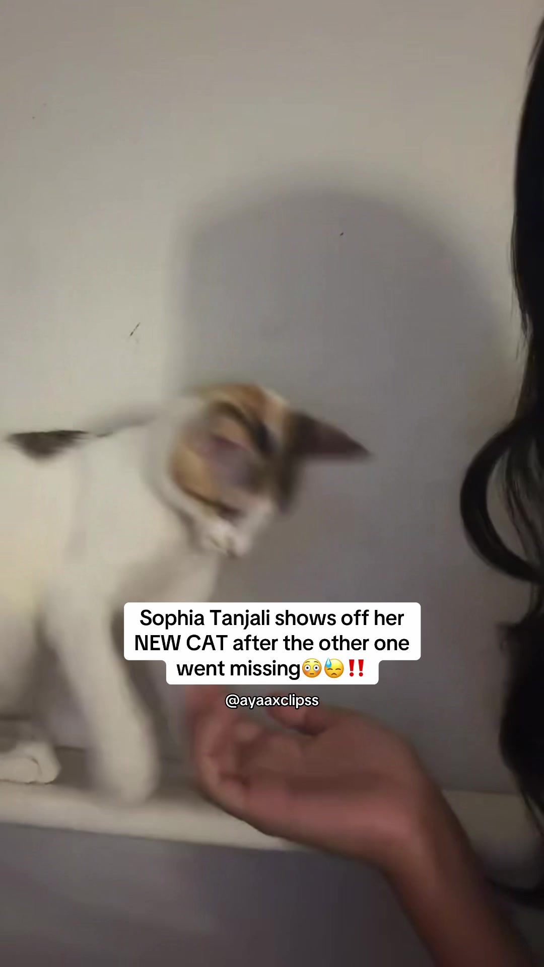 @ayaaxclipss