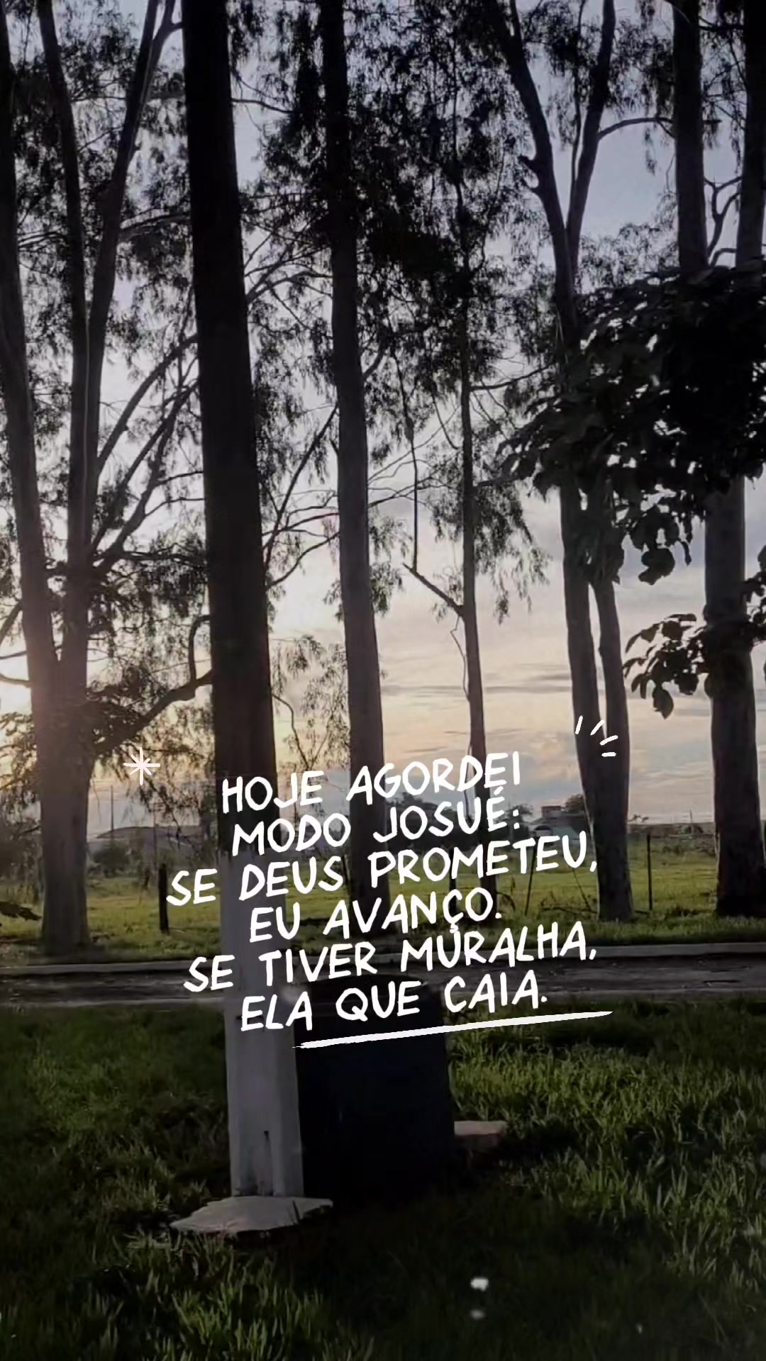 @Elaine Oliveira