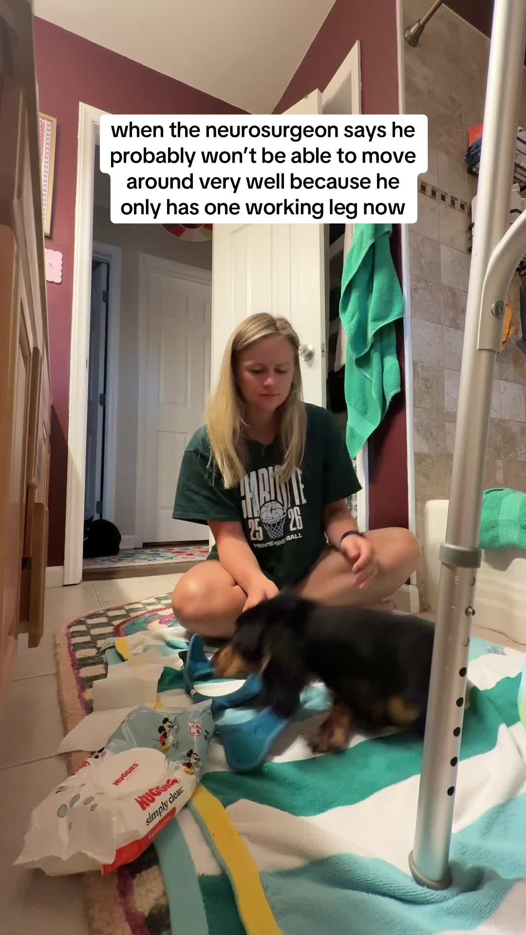 @Henry the mini dachshund