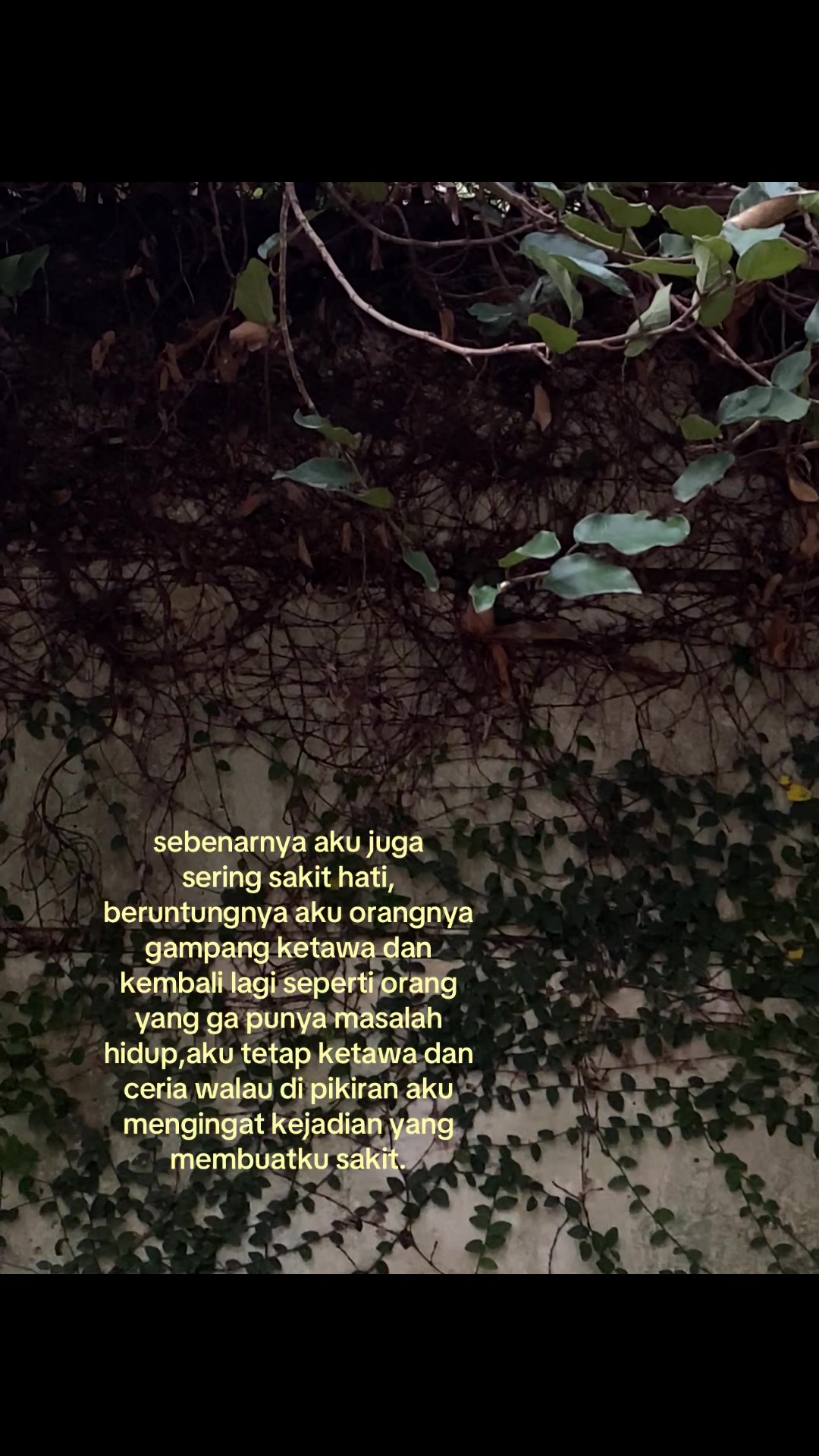 @Hey male