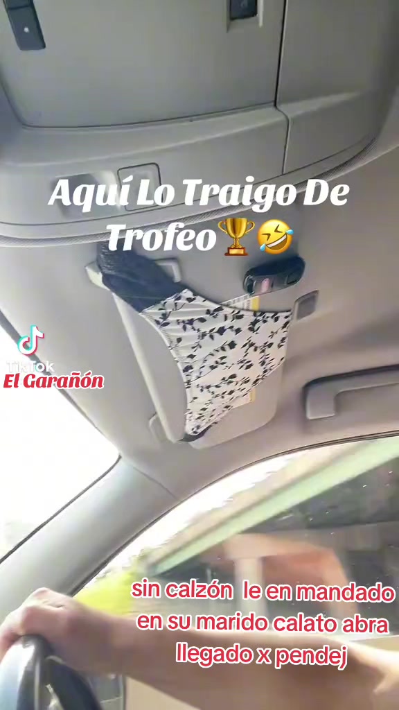 @🙋🐅El Profe💘🙋Garañón👑💜