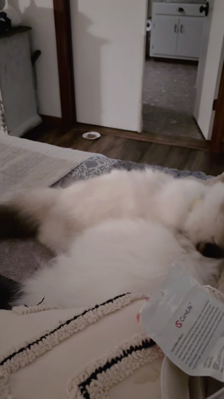 @𓃠Melissa’s10Fluffs𓃠