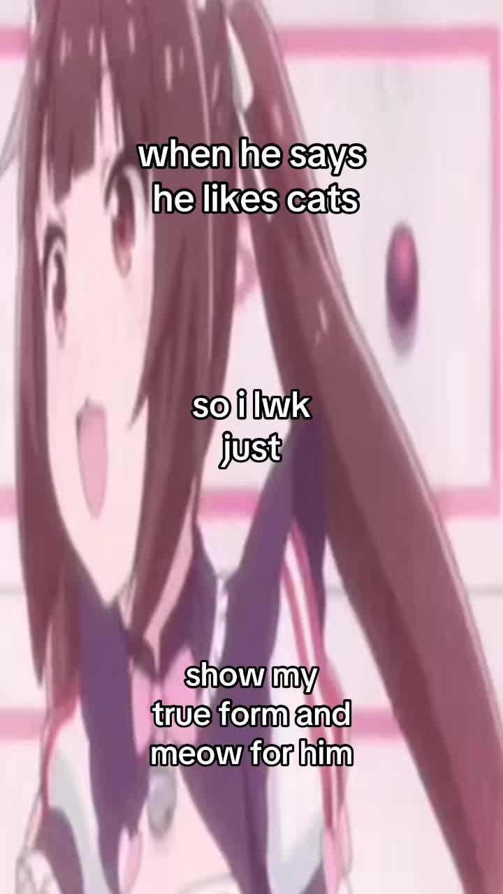 @۶ৎ 🐾 ⋆.𐙚 ̊
