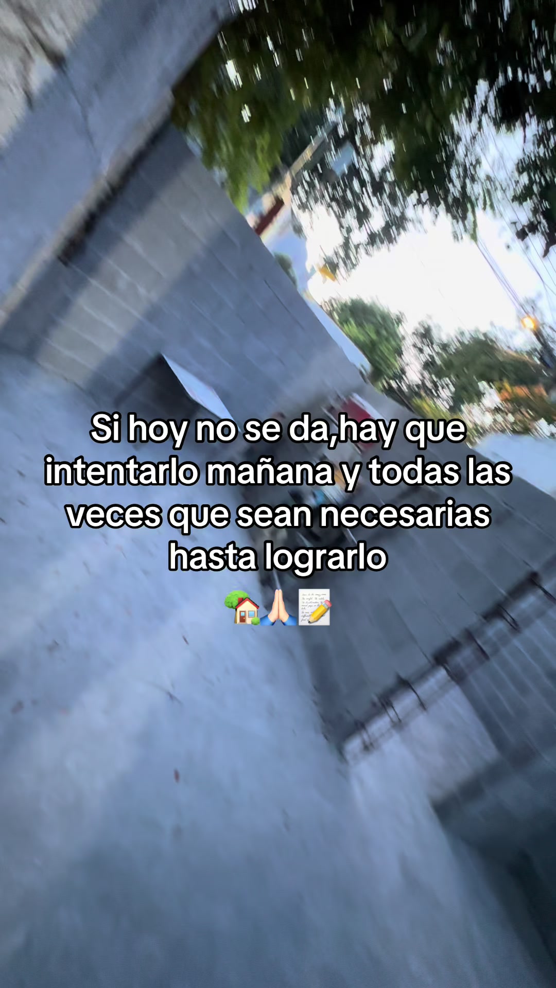 @Liz Gzz
