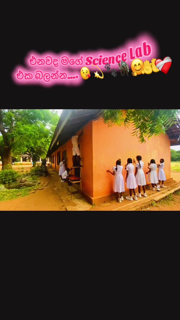 @dulmi_rathnayake