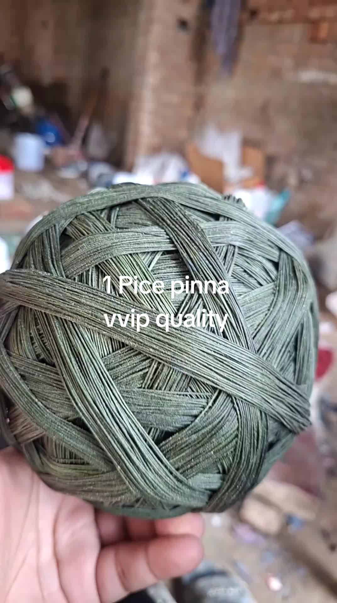 @Door wala Pinna