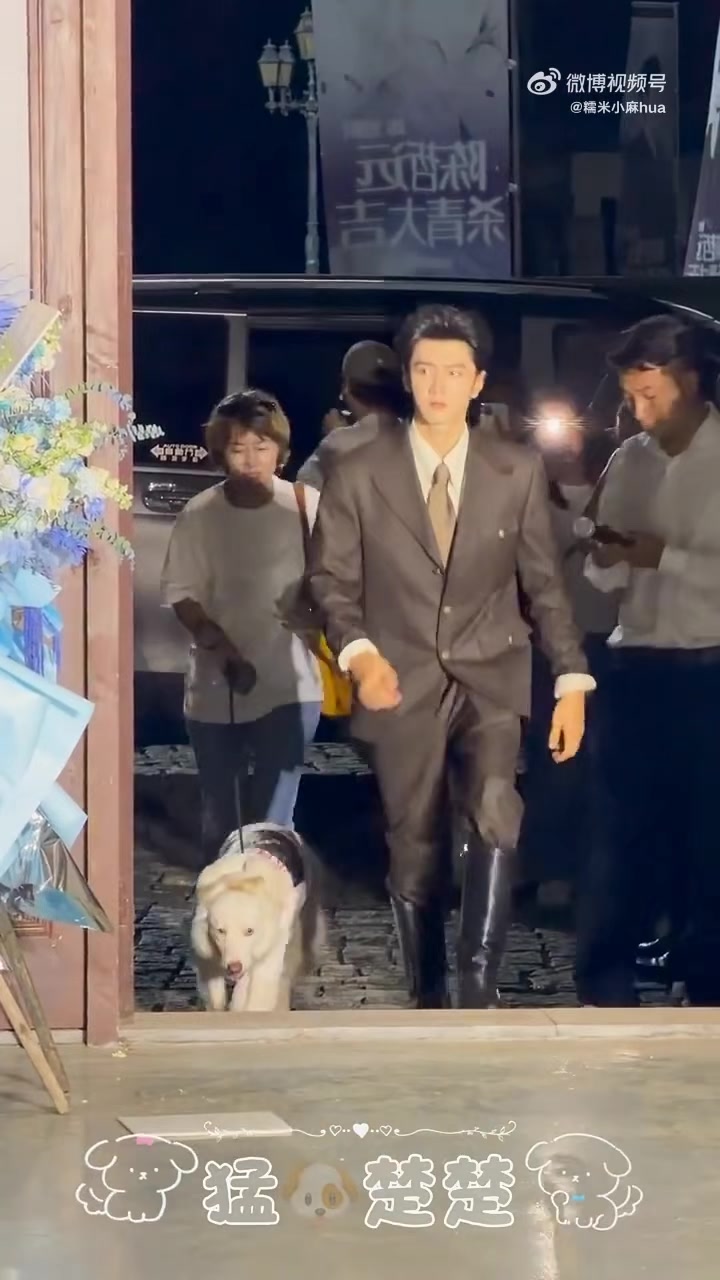 @陈哲远-fan girl