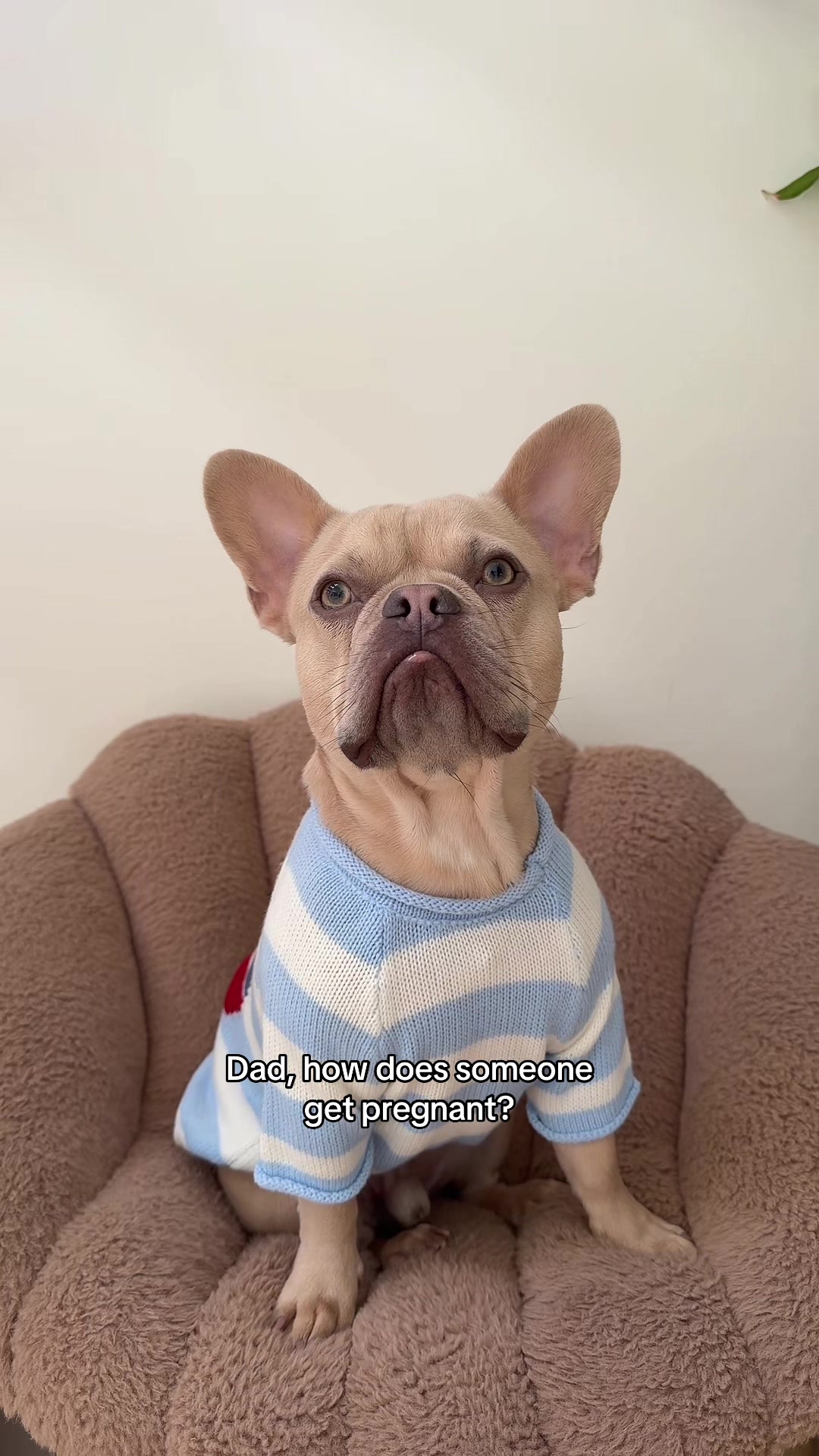 @Winston & Charlie 🐾