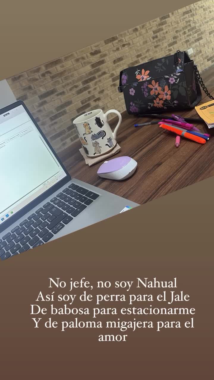 @Luz 🩵