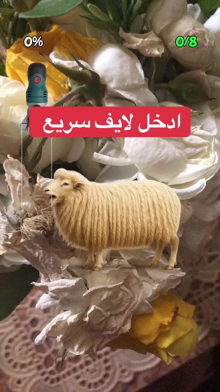 @noeral88