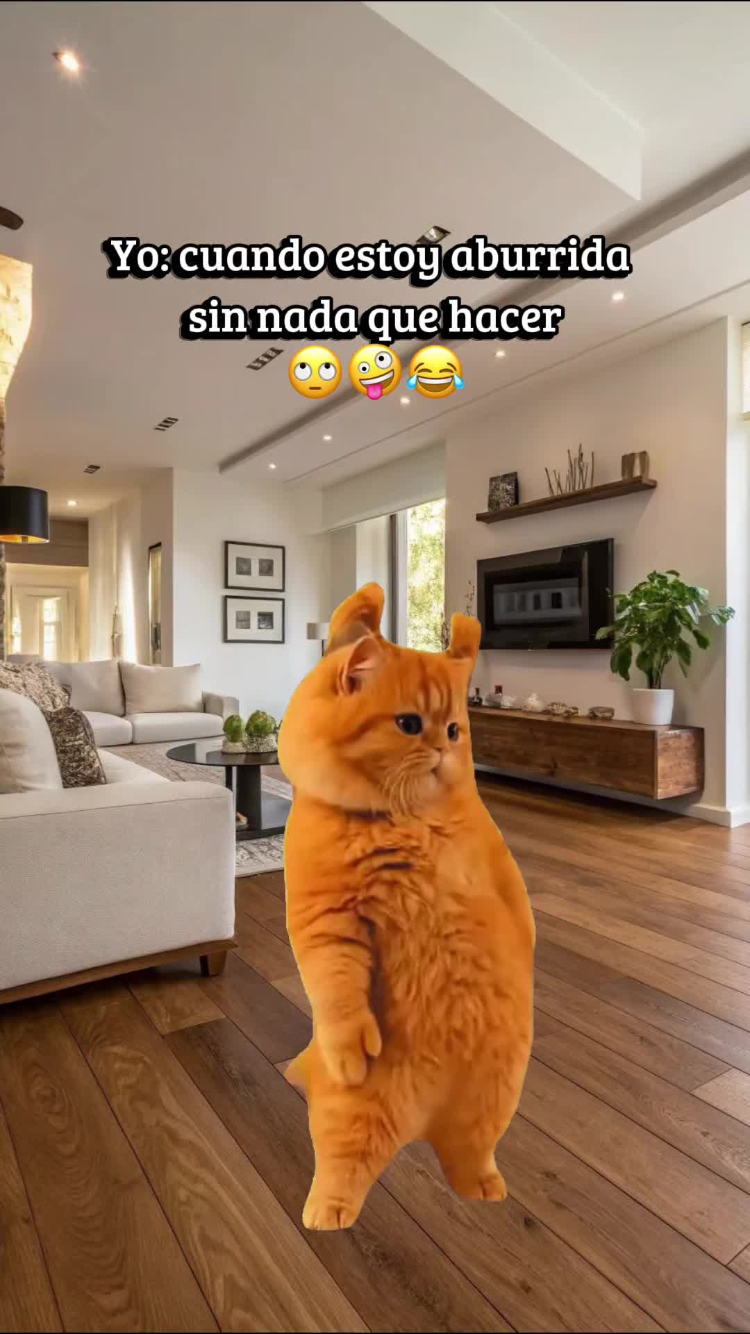 @๐ Paloma Rodriguez ๐ฒ๐ฝ