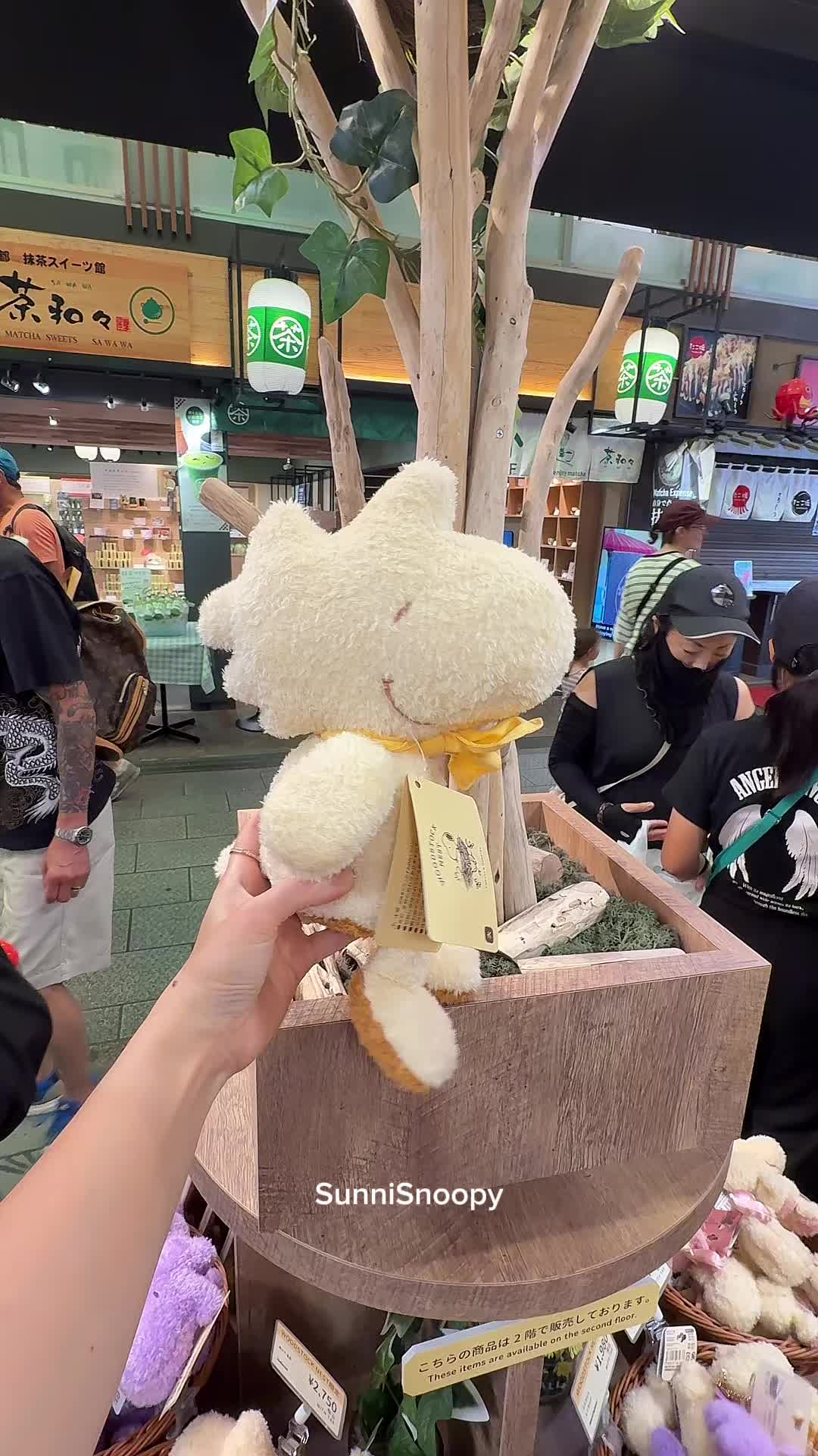 @SunniSnoopy | PEANUTS