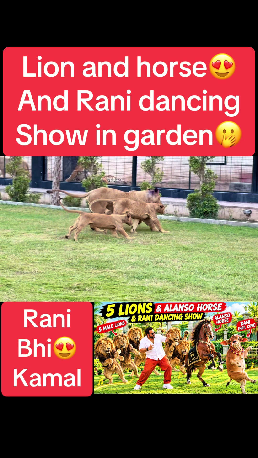@Mian saqib