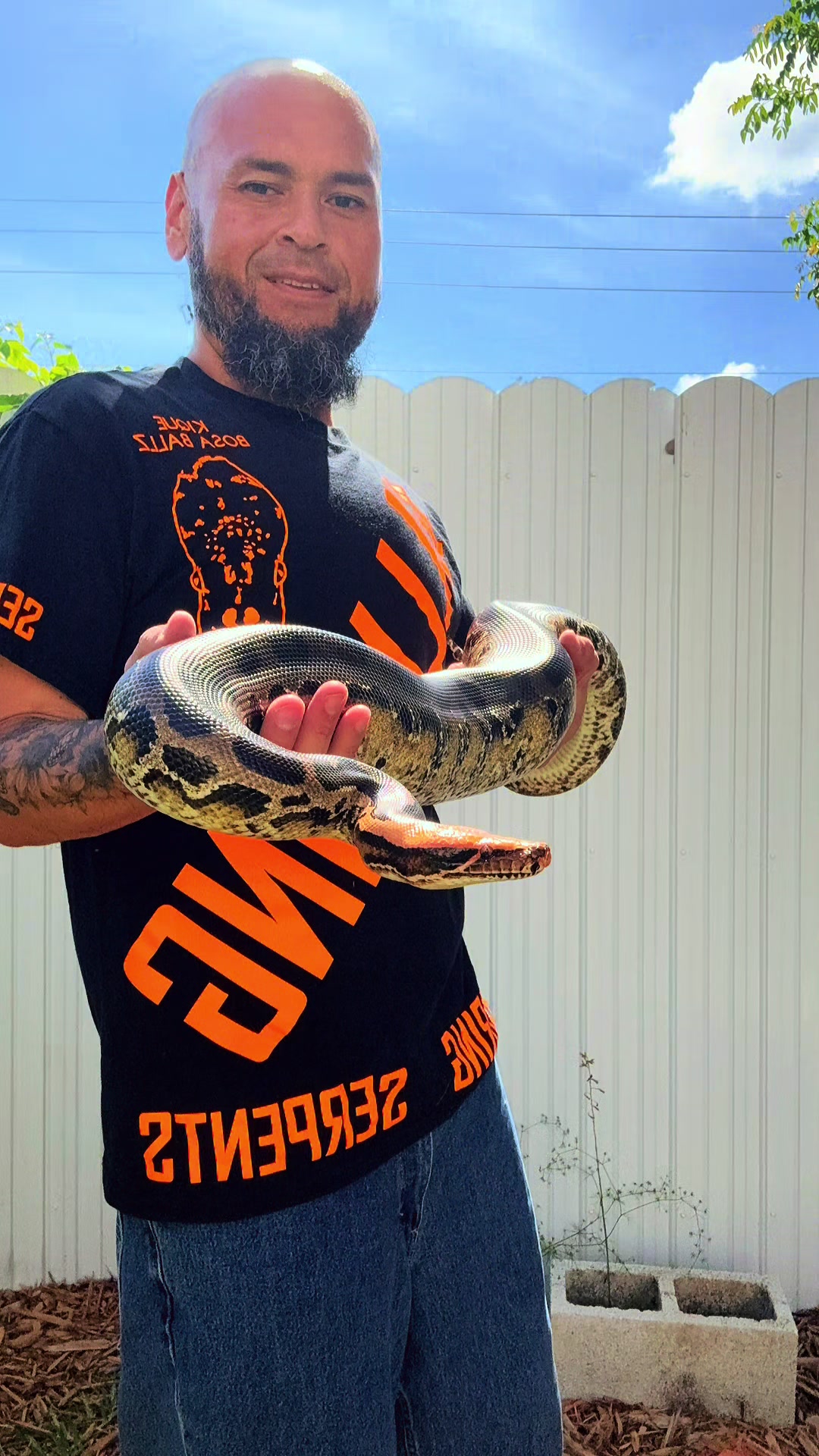 @BosaReptilez