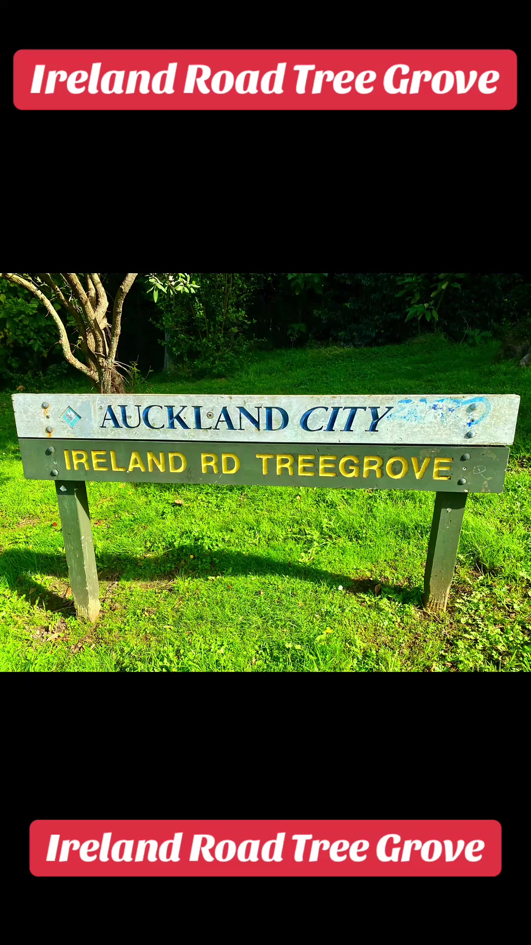 @Walking Tracks, Park & Reserve