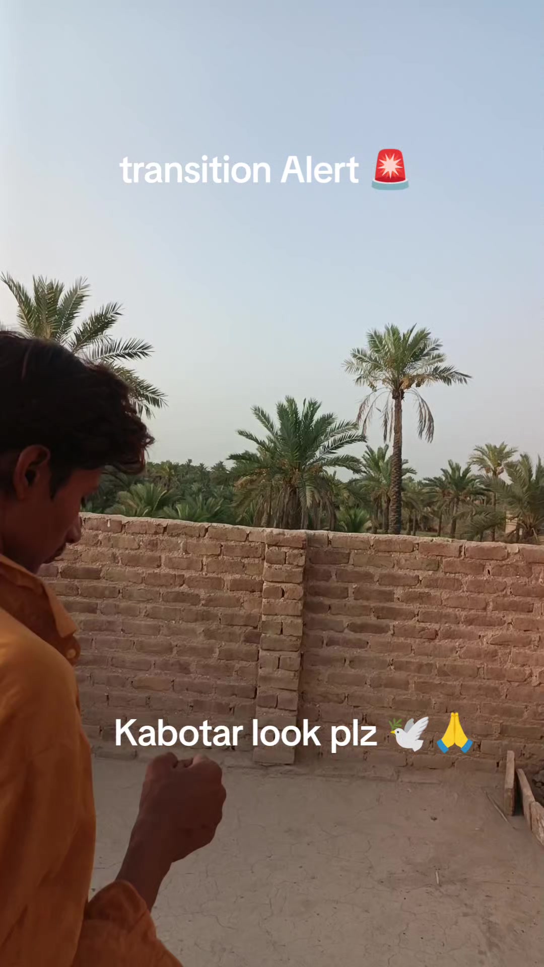 @RAJA SINDHI❤️