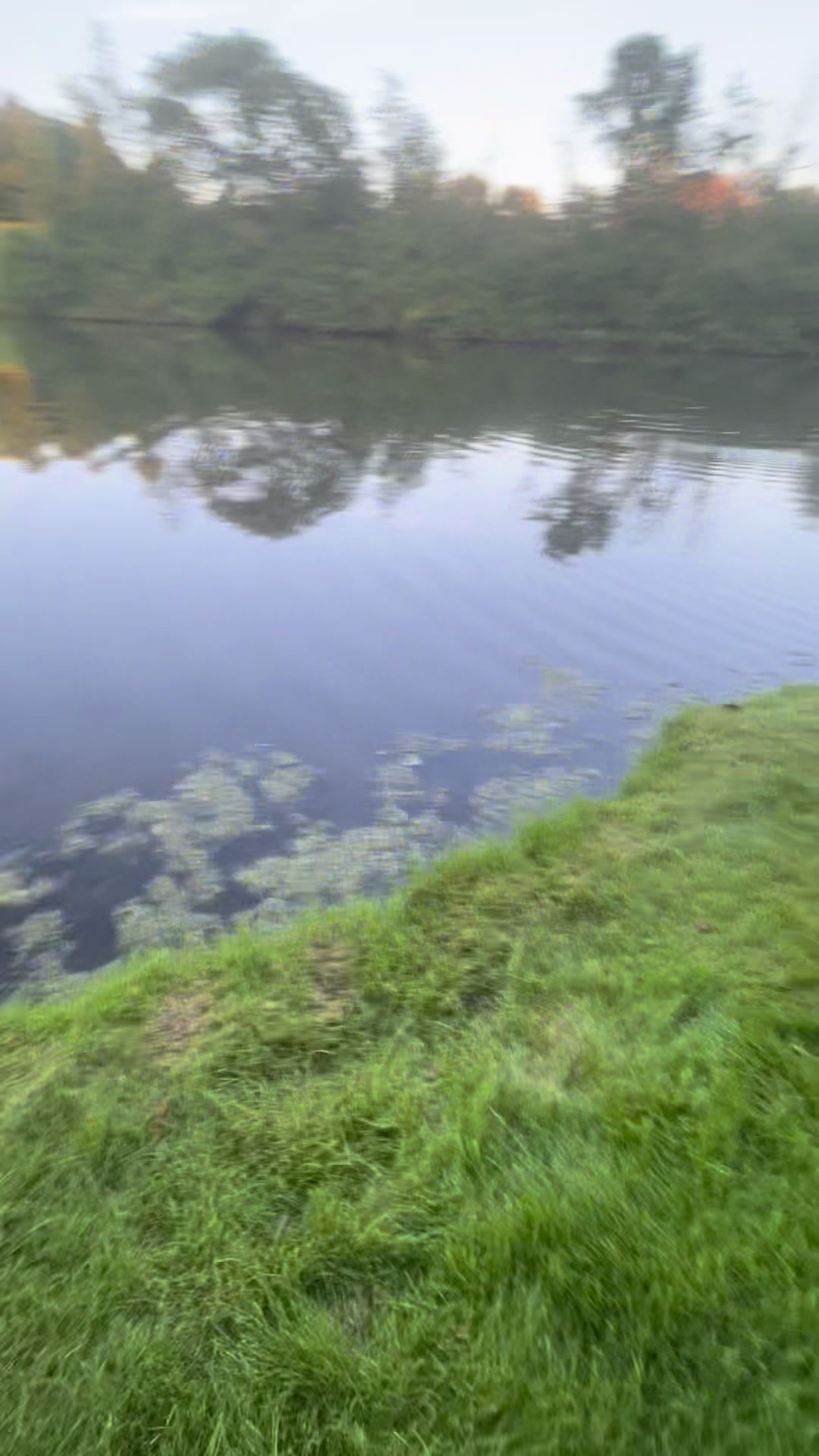 @IA Fishing