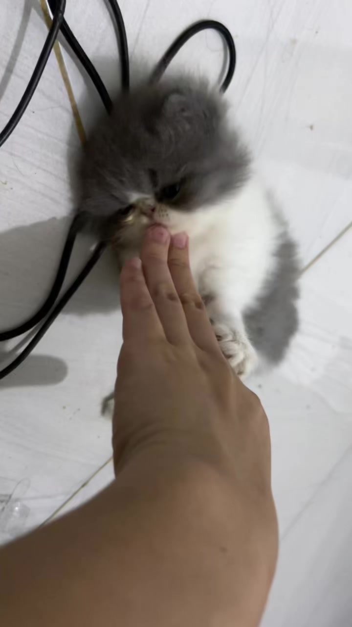 @.