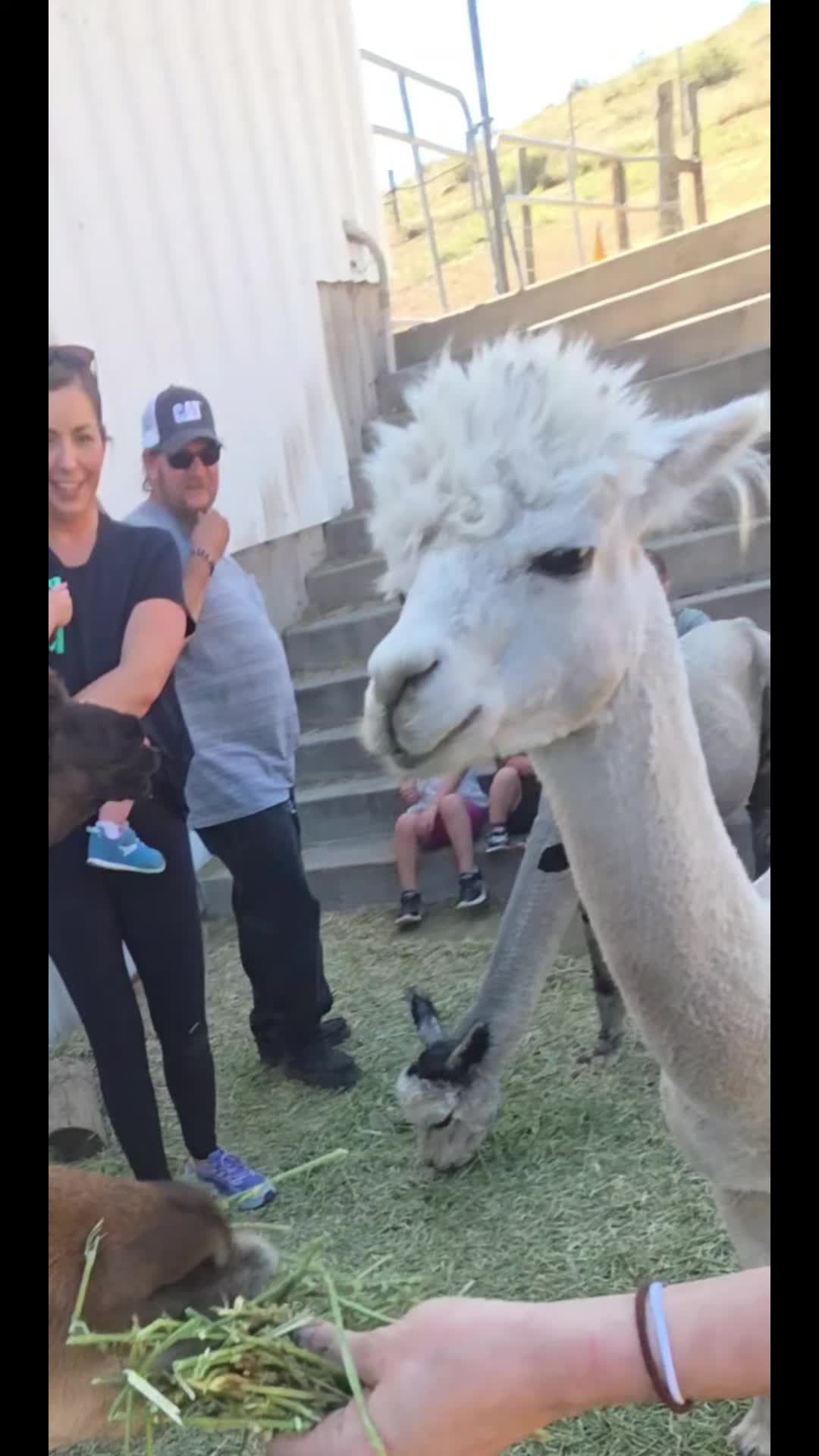 @sass_and_lemons