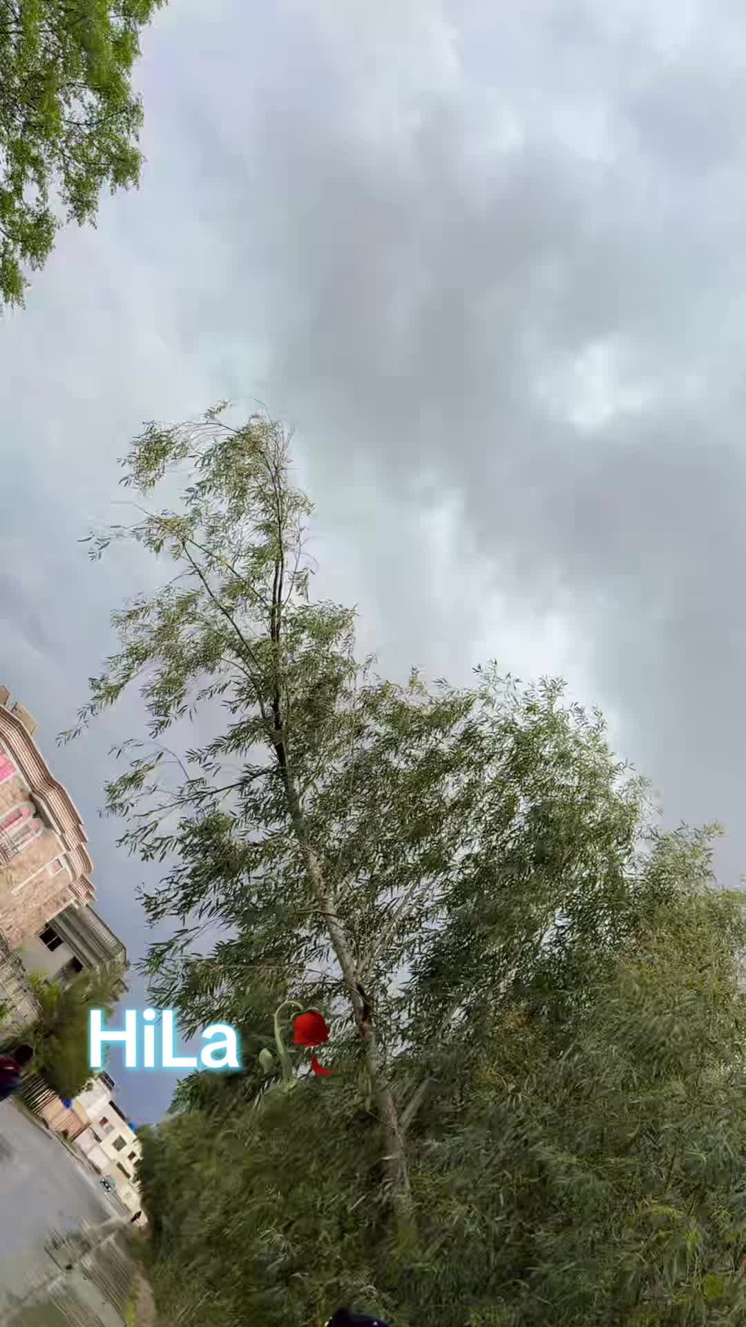 @HiLa 🇦🇫