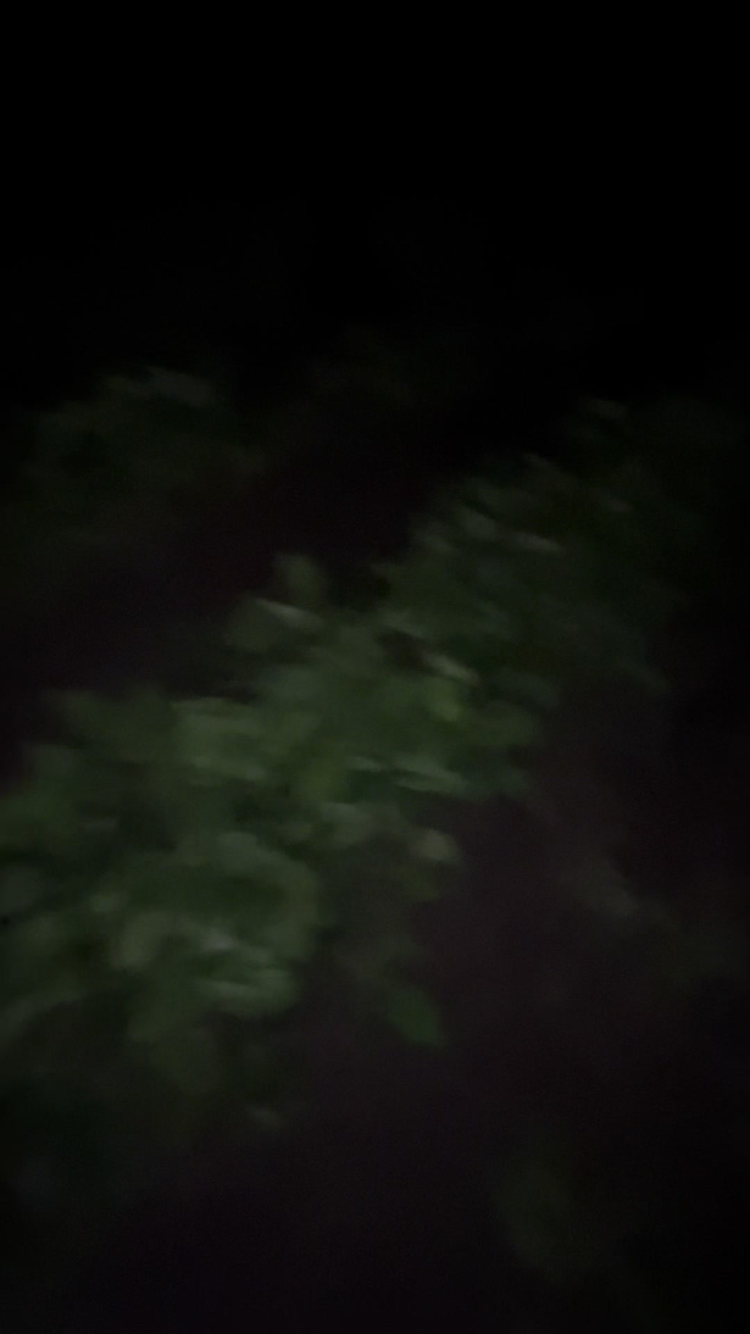 @dalton.🕸️