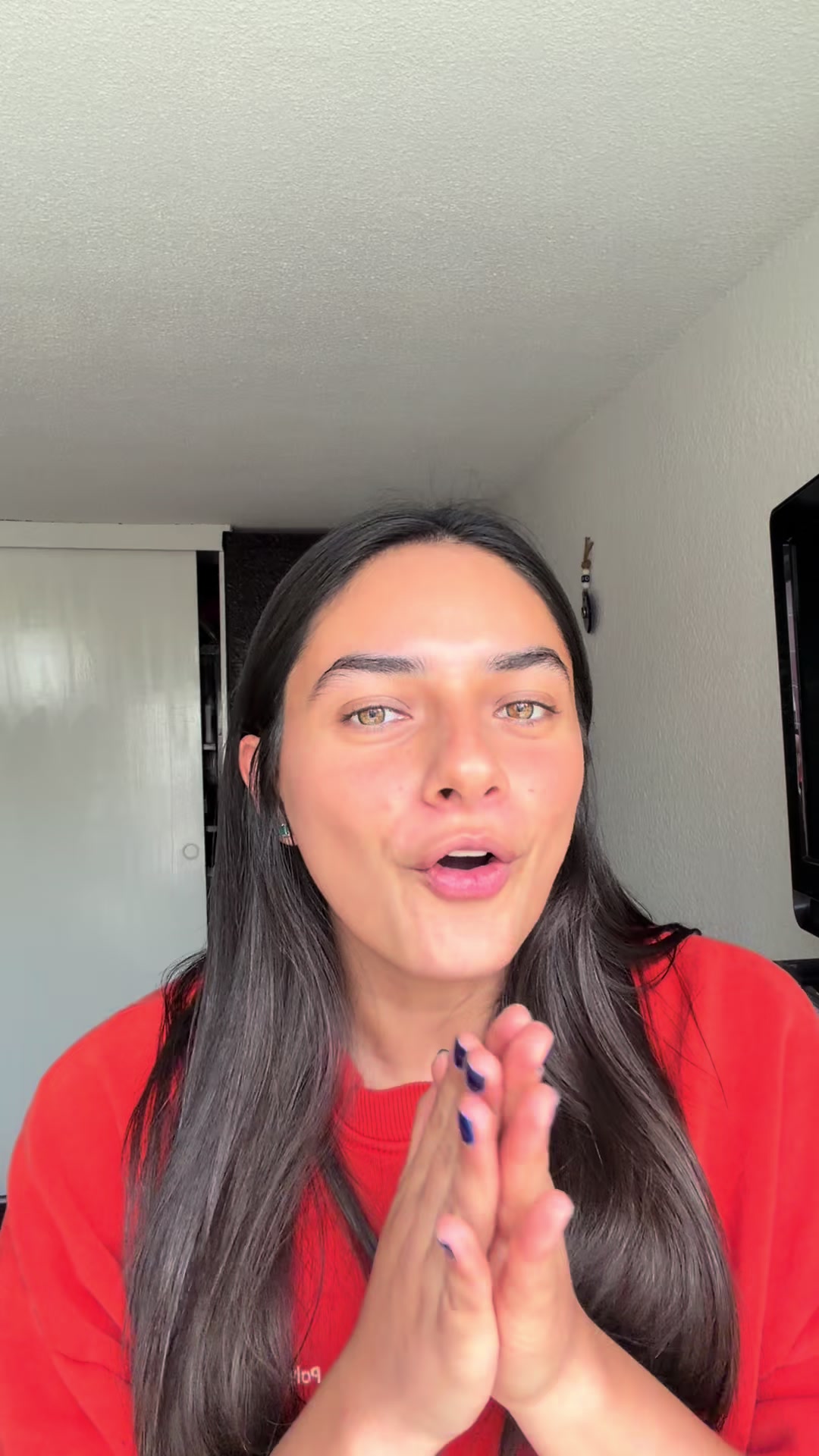 @Paulina R. Menendez