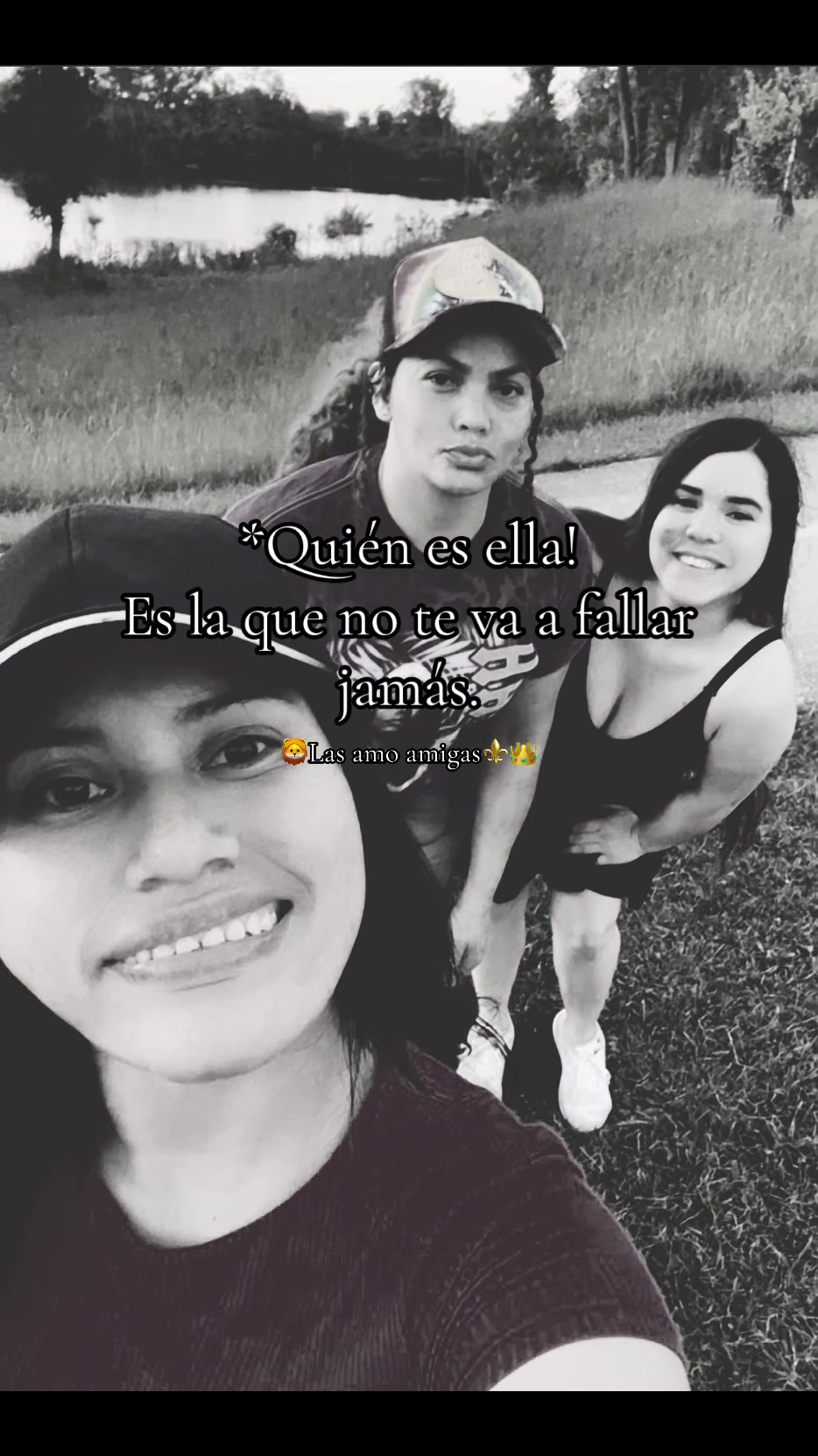 @🦁MORE OFICIAL+504