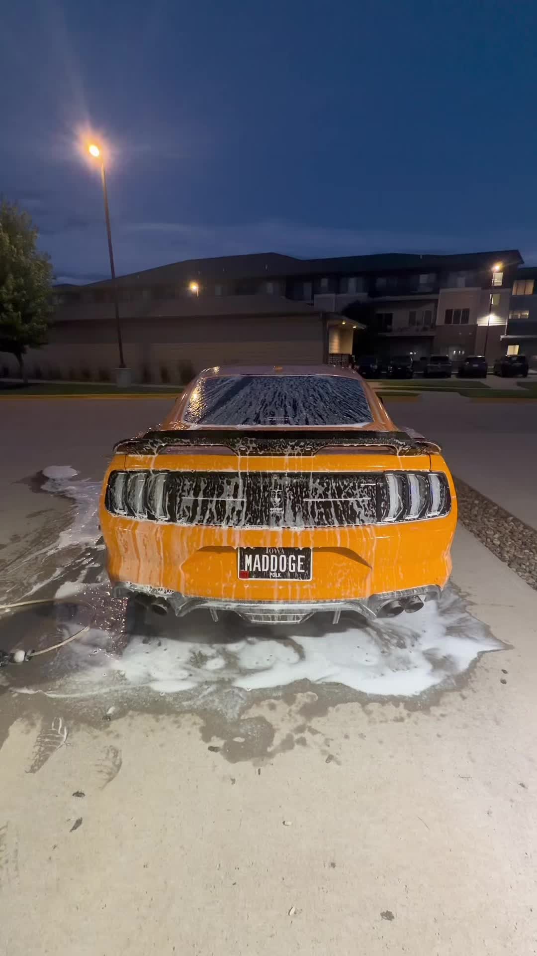 @LaVidaDeBori787PR🇵🇷🐺