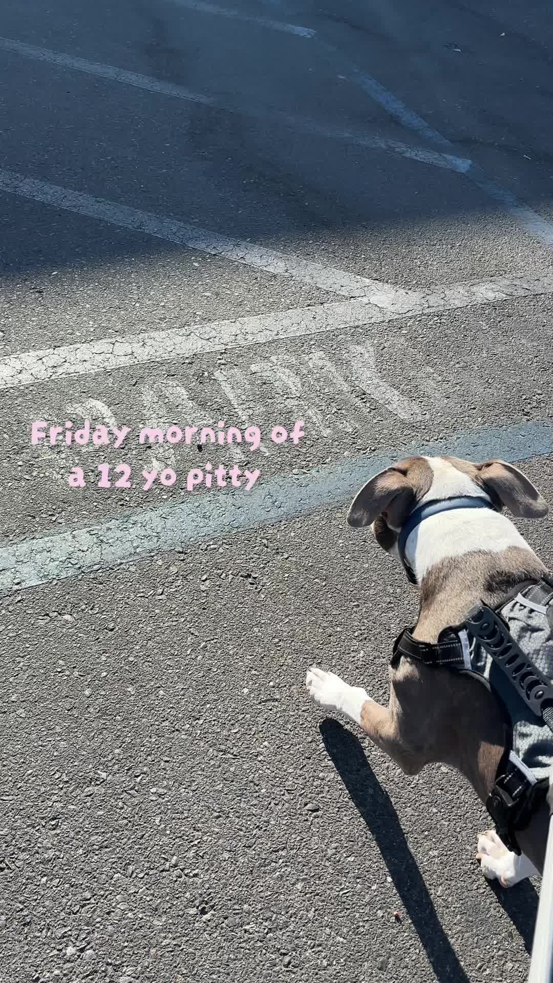 @caponethepitty