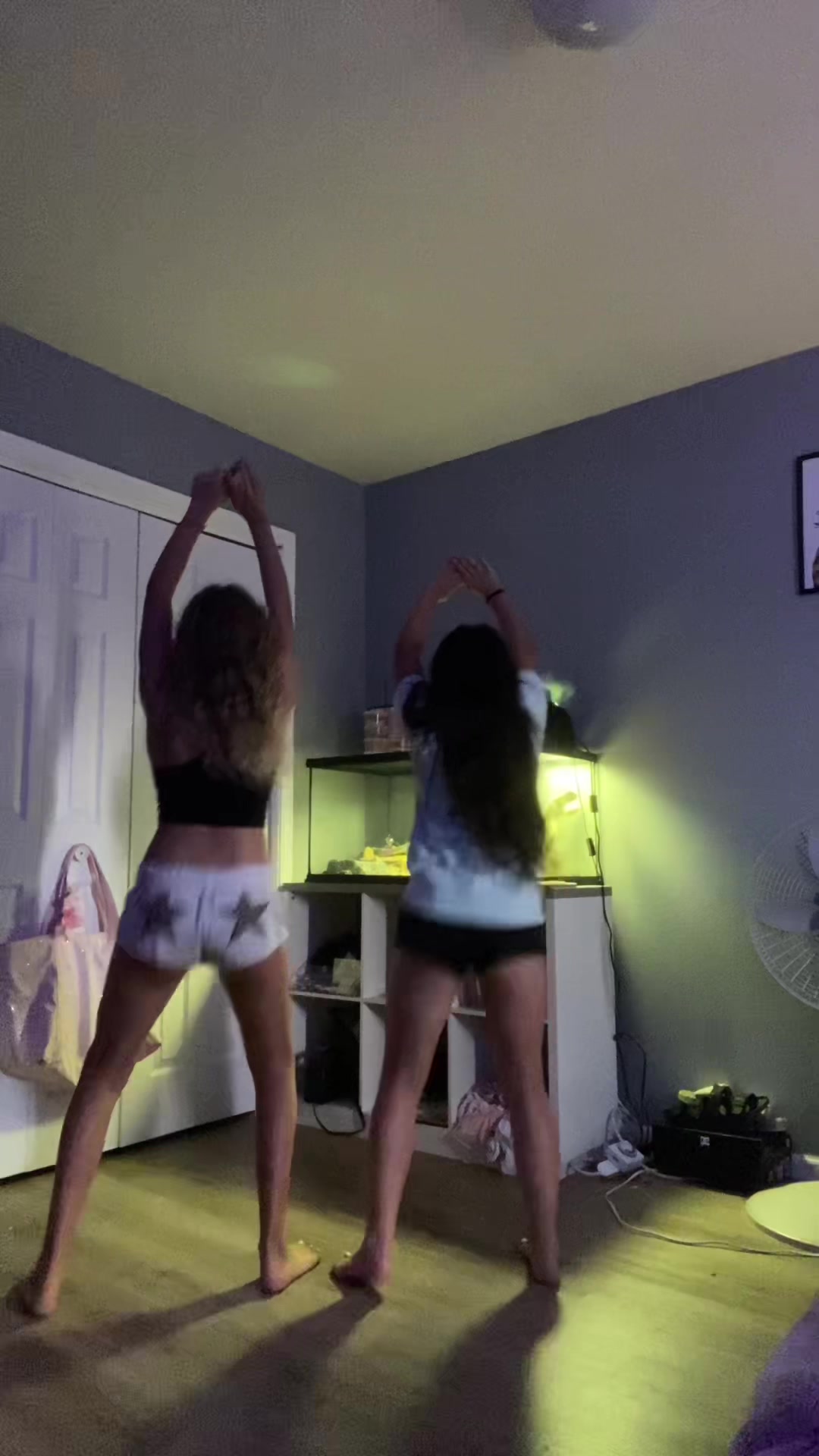 @lilyyy