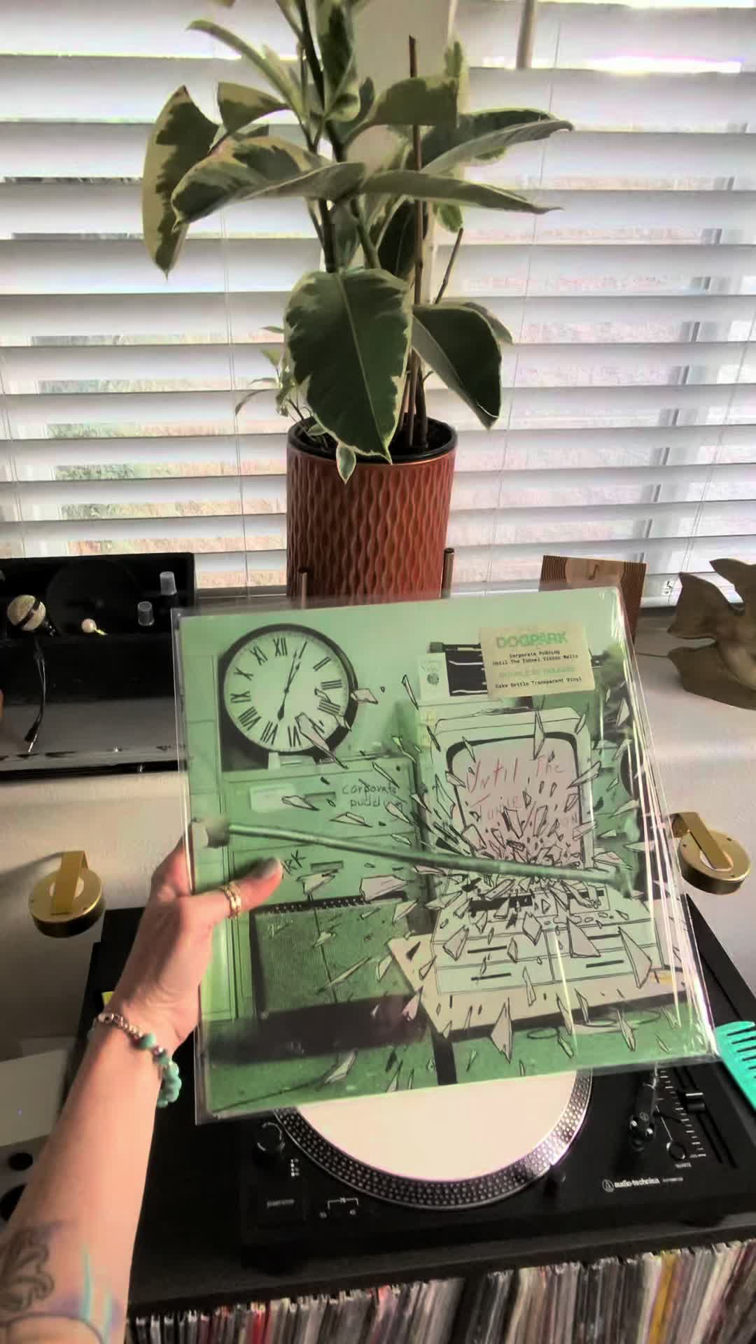 @Vinyl Daily Plays