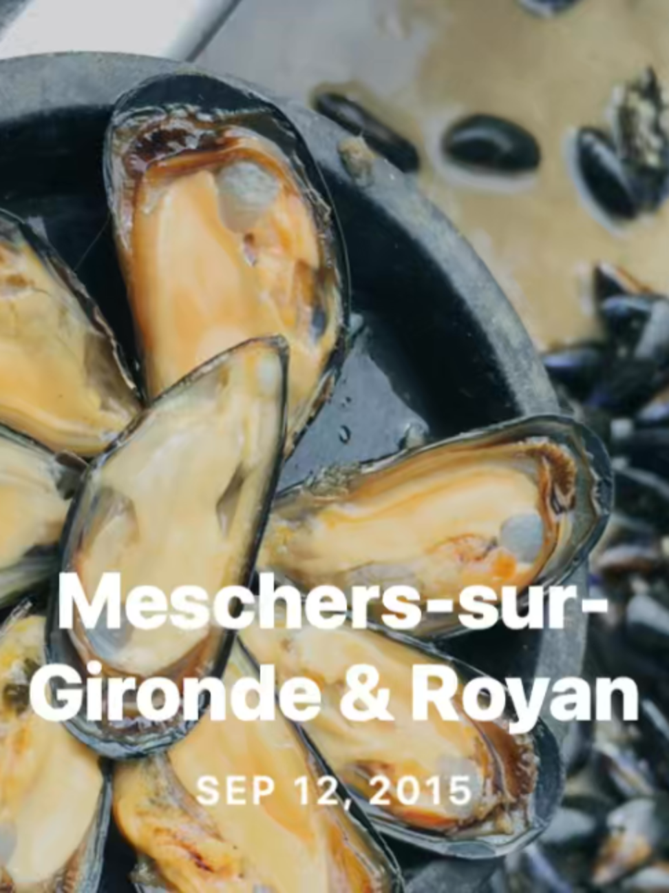 @Chef Norman Van Aken
