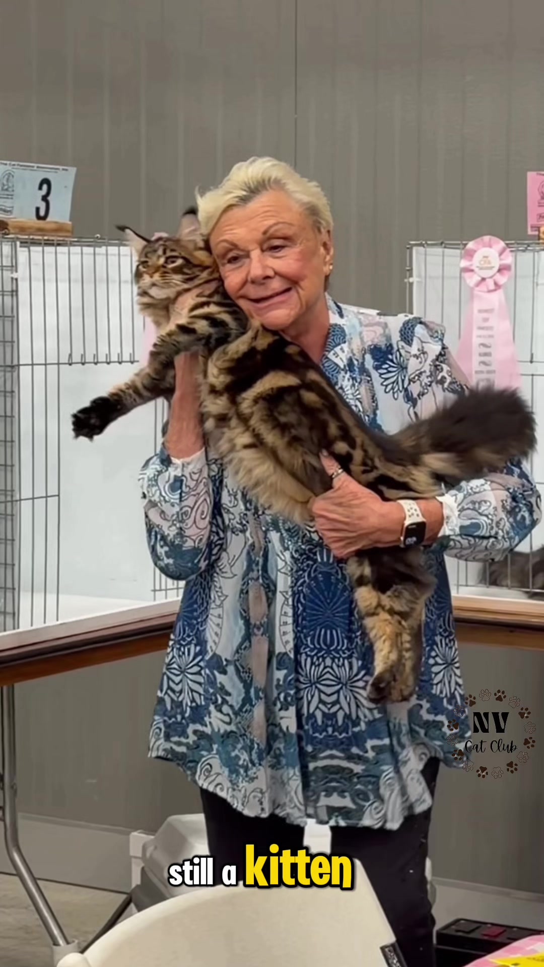@NewVisionCatClub