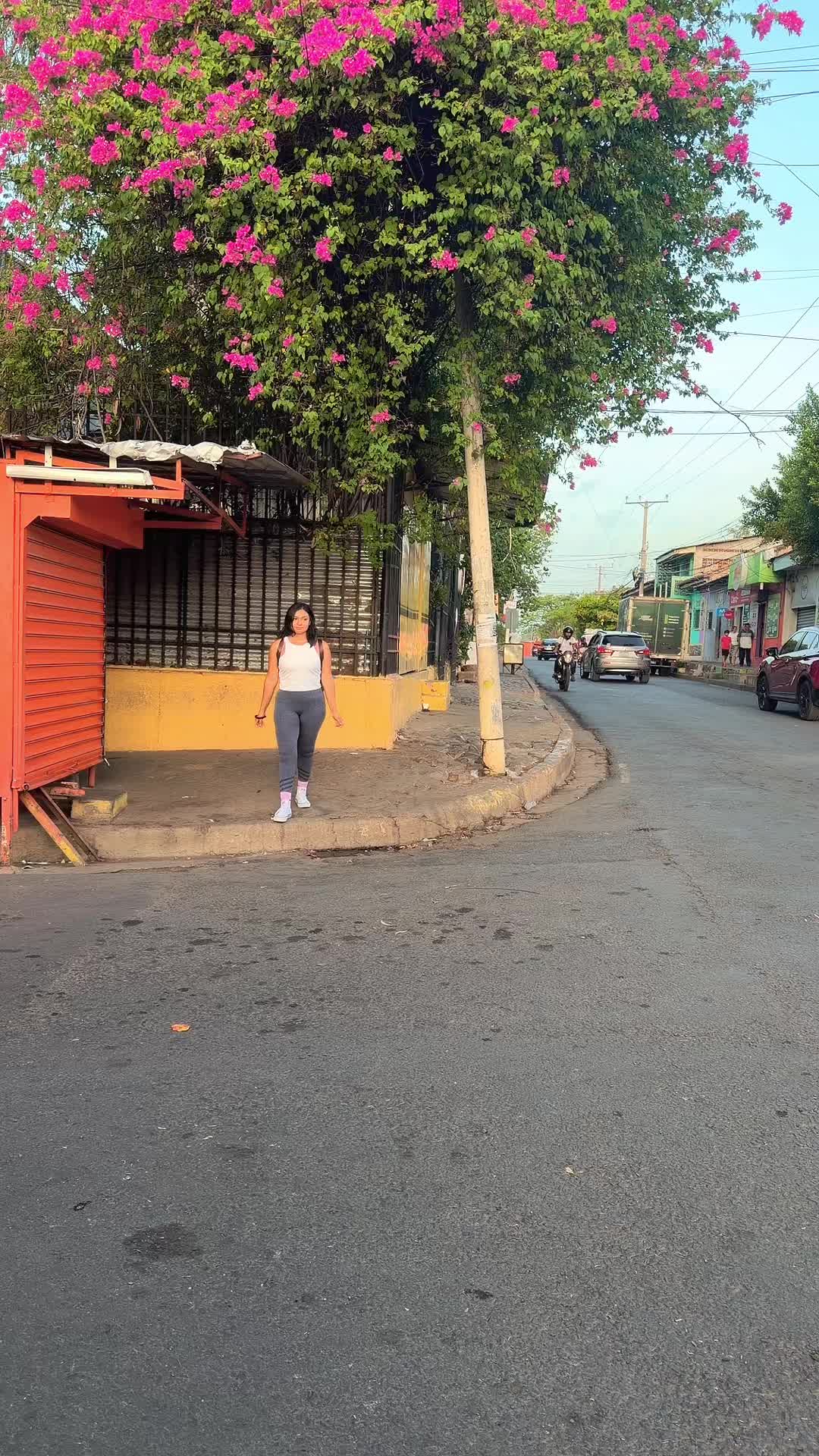 @vanestar69