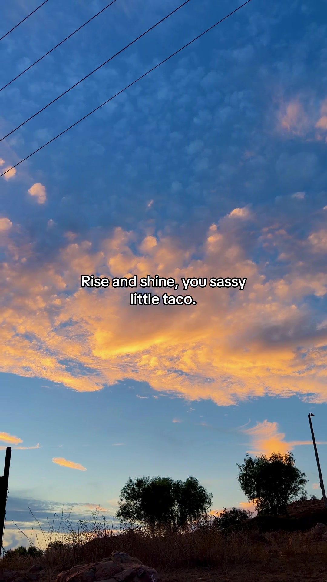 @๐
Sunset Lori ๐