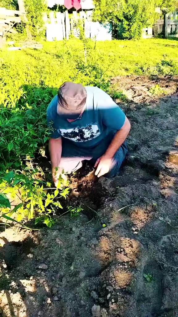 @vadim7111791