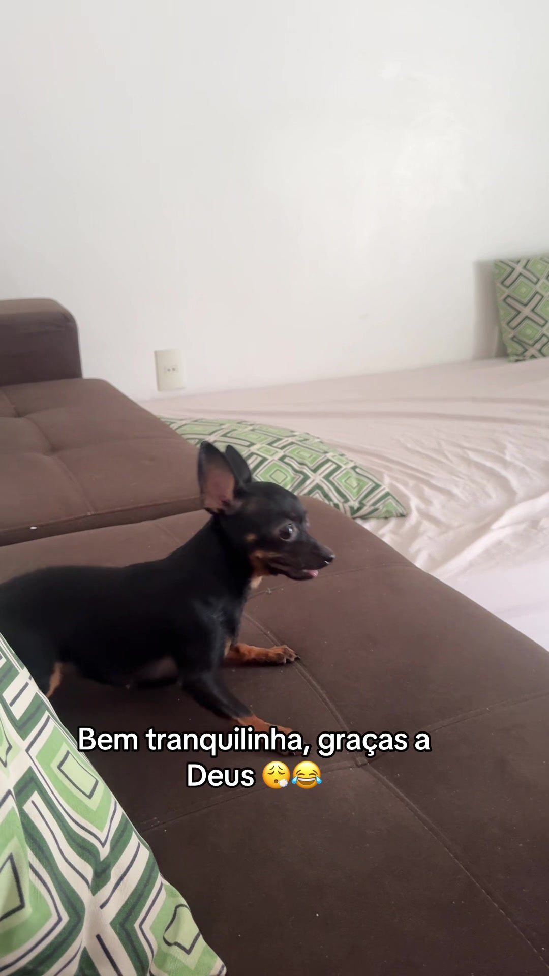 @Angélica Moraes