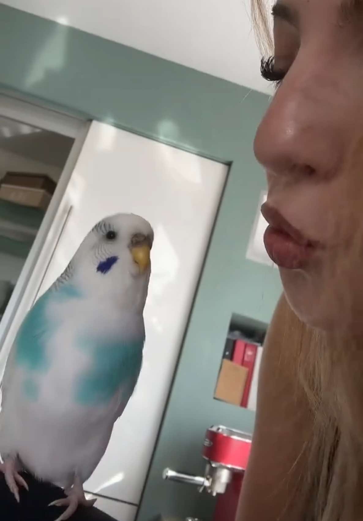 @Sarah