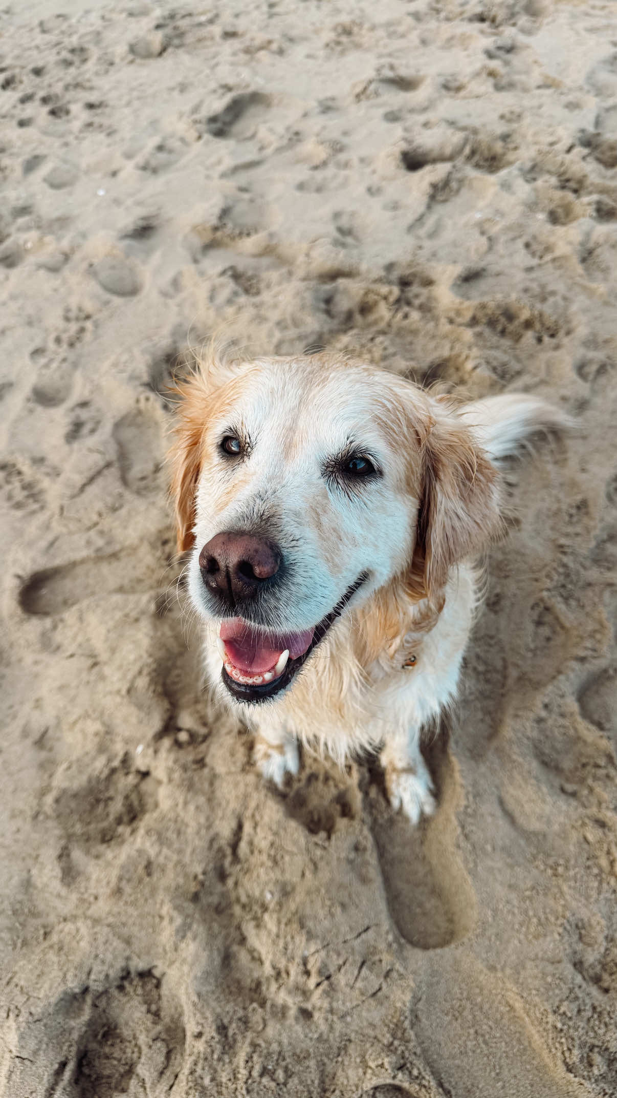 @ioanna.ira🐾